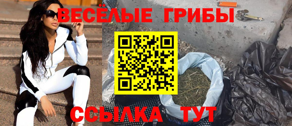 Электросталь  сколько стоит  Псилоцибиновые грибы прущие грибы  Вход с VPN  Галлюциногенные грибы MAGIC MUSHROOMS 